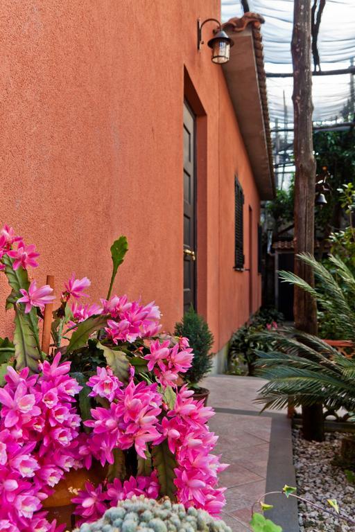 La Maison De Titty & Margherita ปิอาโนดิซอร์เรนโต ภายนอก รูปภาพ